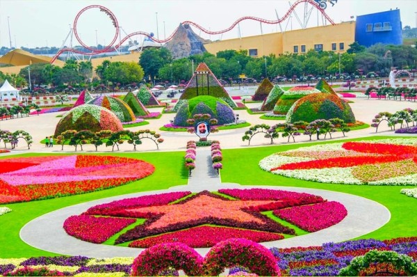 Miracle Garden